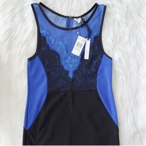 NWT Buffalo David Bitton Cocktail Dress